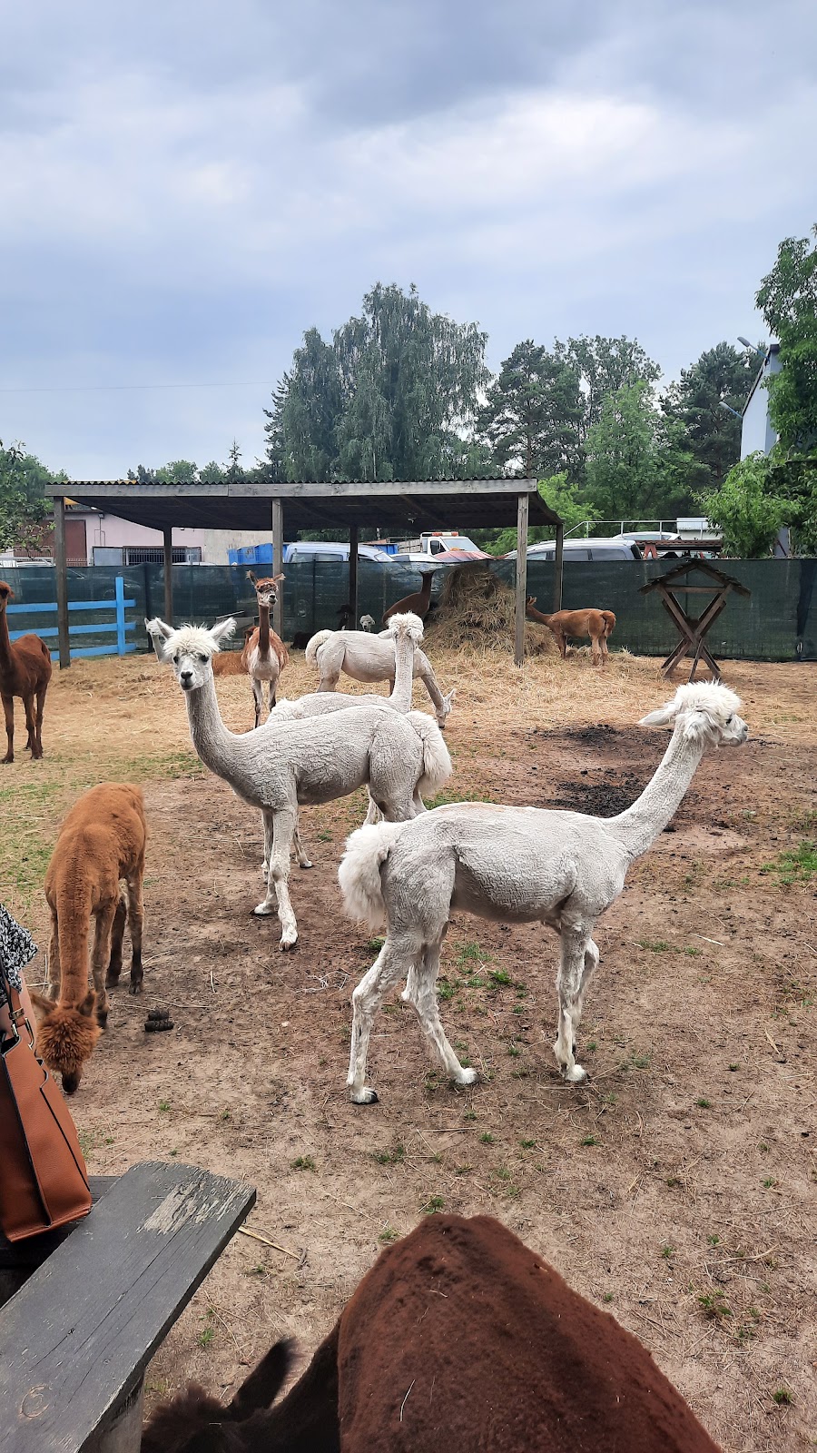 Bajkowa kraina - Sala Zabaw / Bajkowe Ranczo