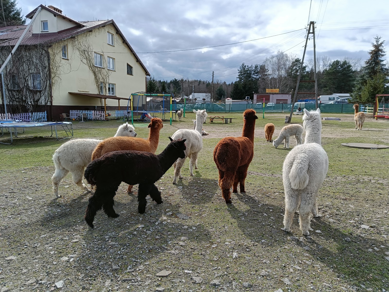 Photo of Bajkowa kraina - Sala Zabaw / Bajkowe Ranczo