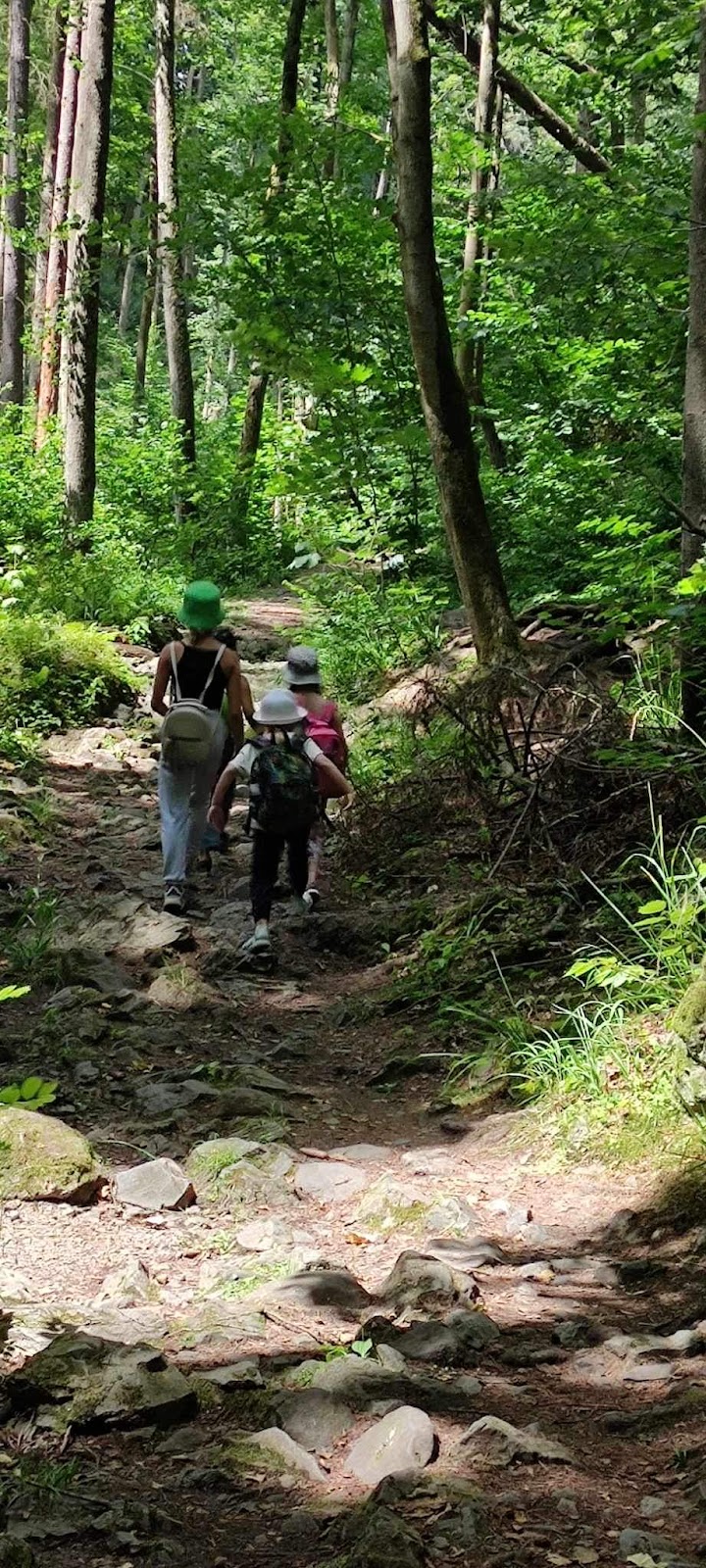 Photo of Centrum dla dzieci i rodziców Margaretka