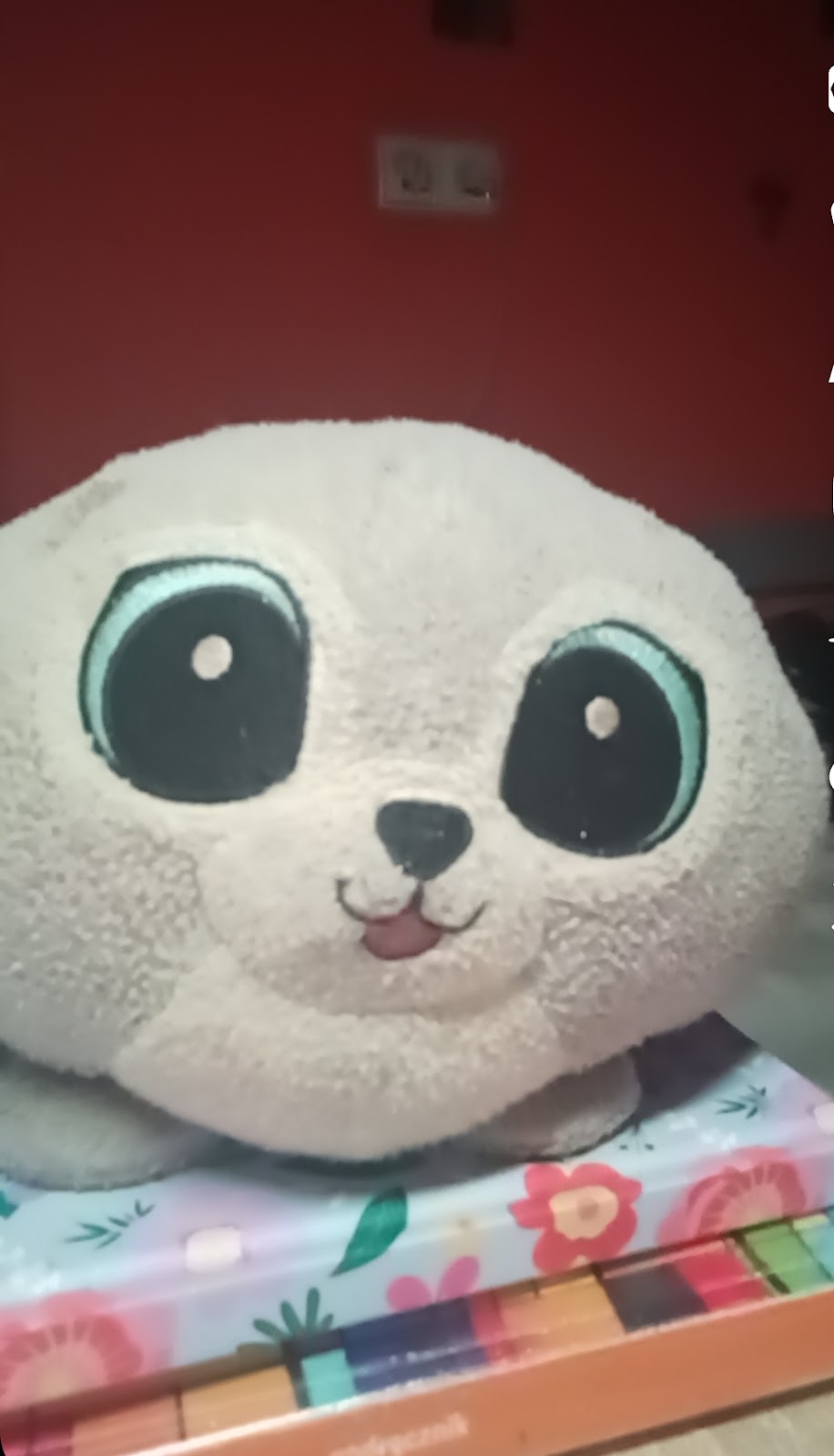 Photo of Bawialnia Delfinek