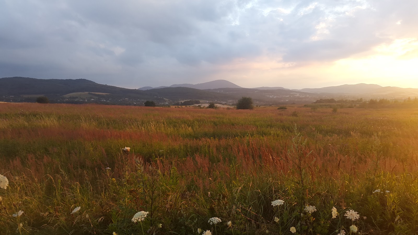 Photo of Ekstremalny Wałbrzych