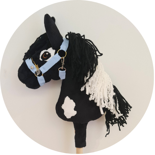 Photo of Clementine Dr. hobby horse, urodziny, warsztaty, zawody hobby horse