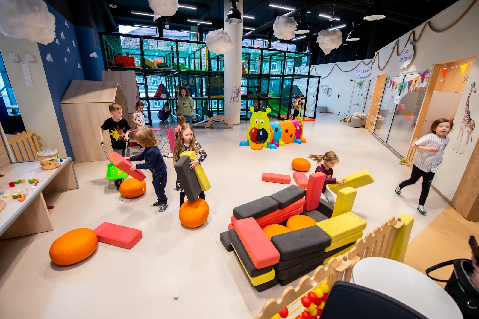 Lulu Kraina Odkrywcy