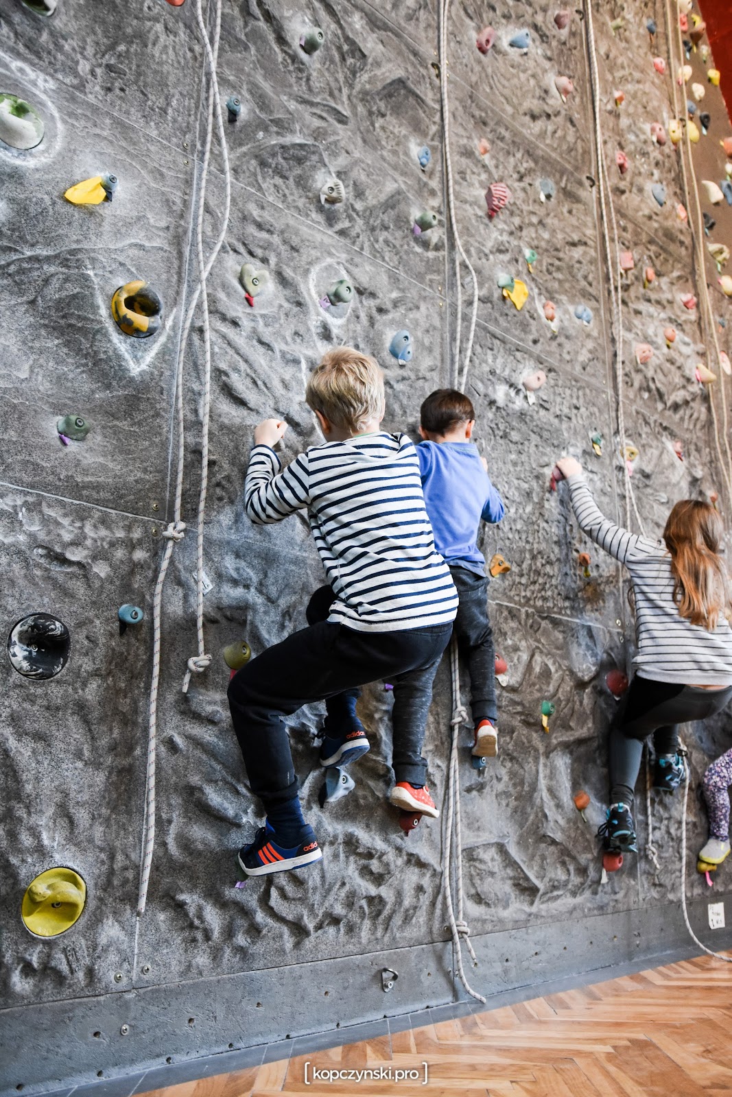 Photo of WSPINALNIA ELBLĄG sp. z o.o.