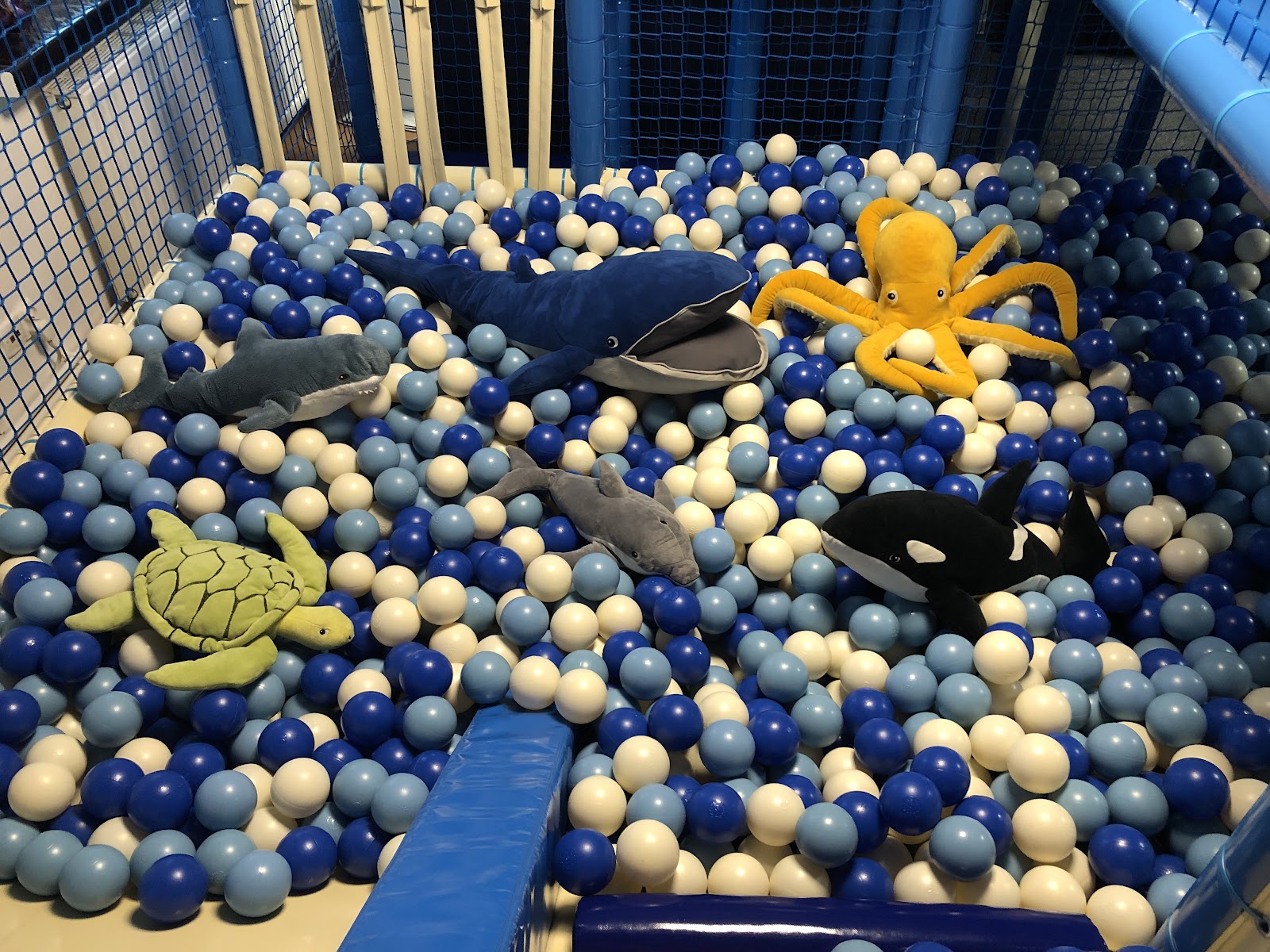 Photo of KRAINA KULEK Sala Urodzinowa