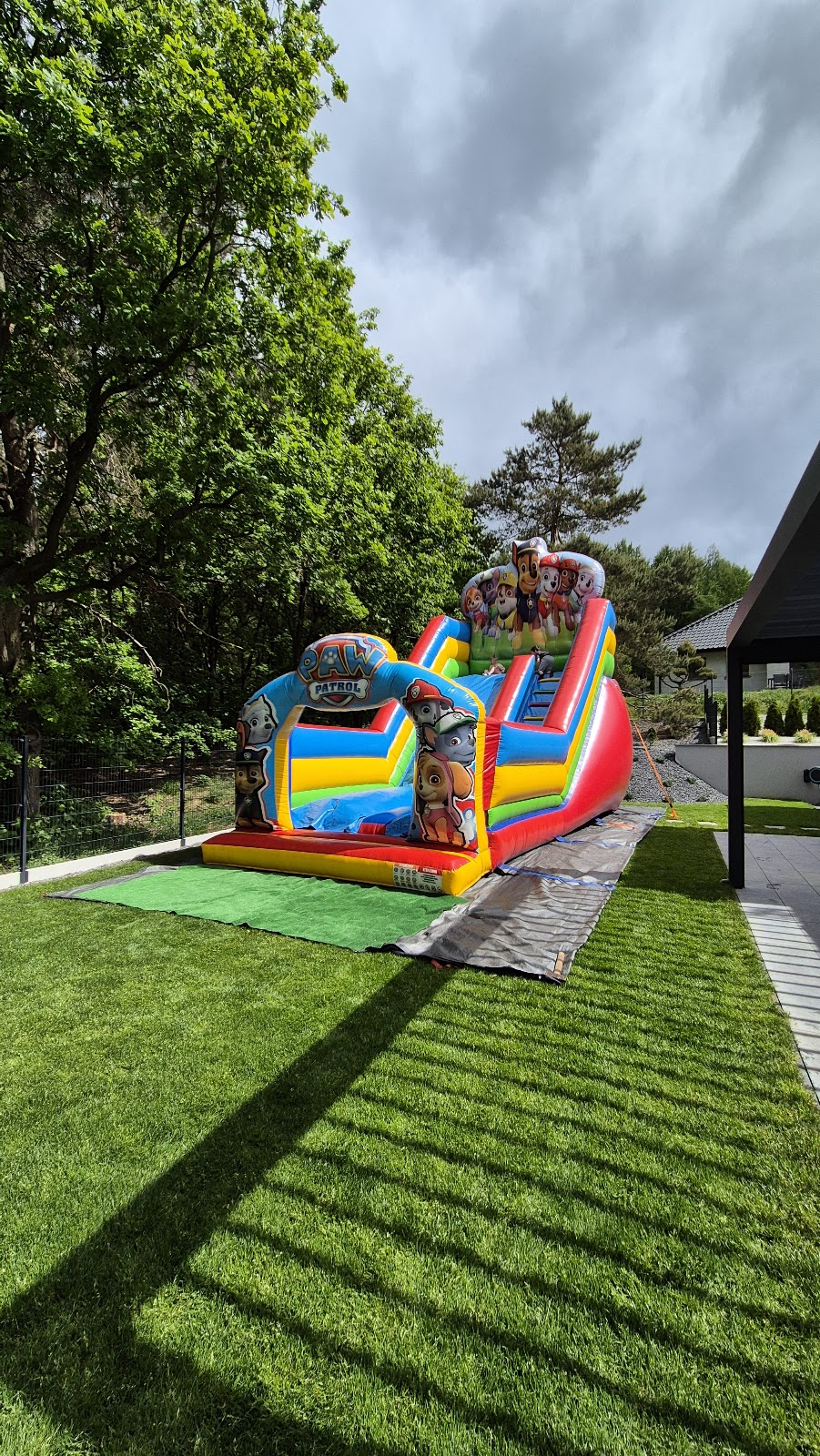 Photo of Elmo Urodzinki