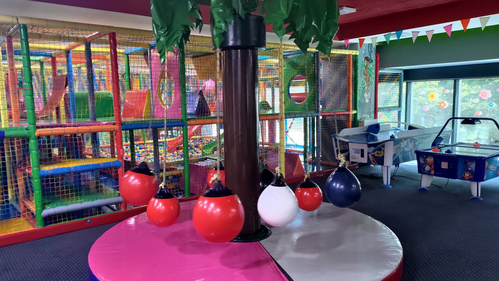 Photo of Golden Kids