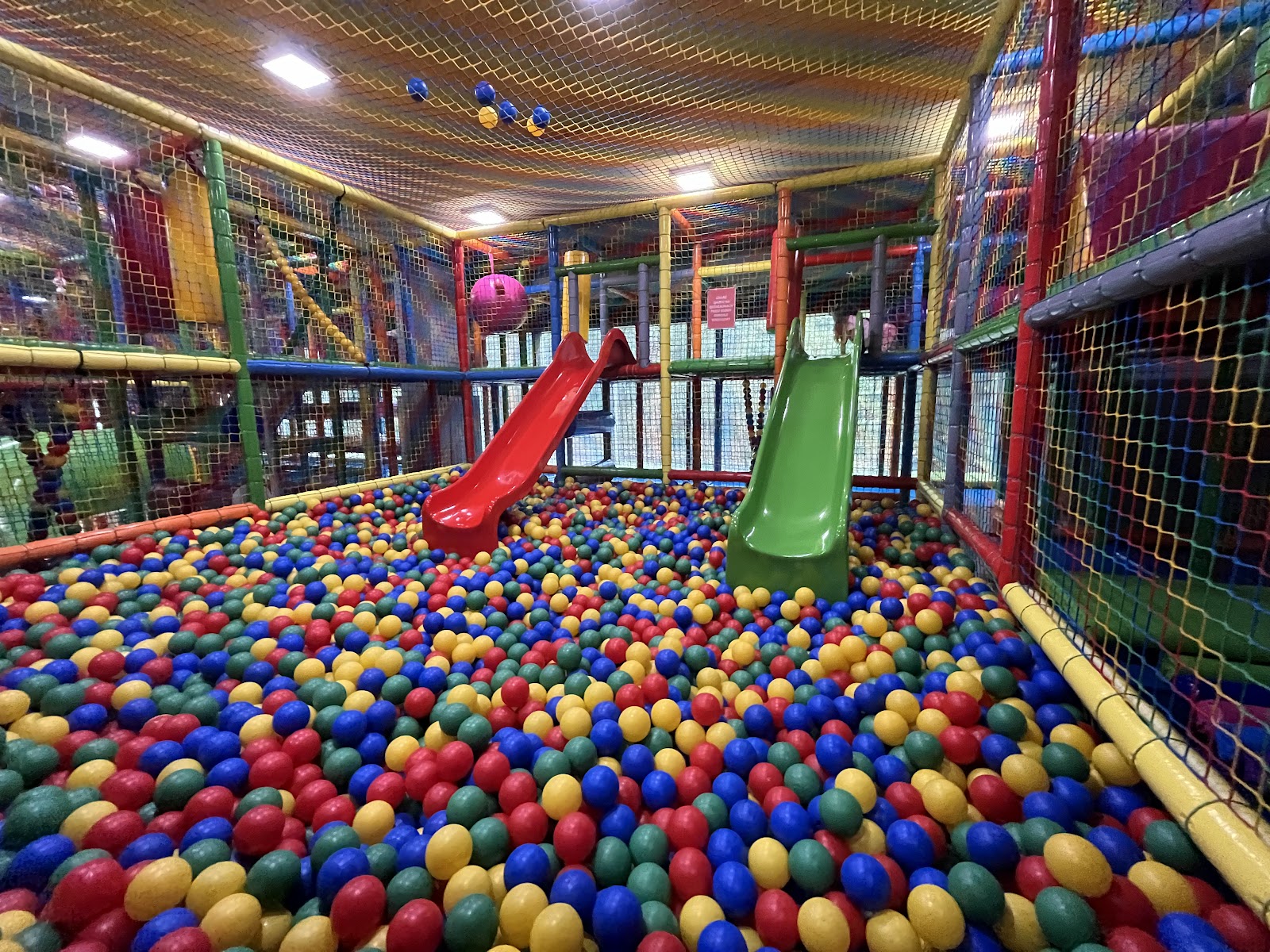 Photo of Golden Kids