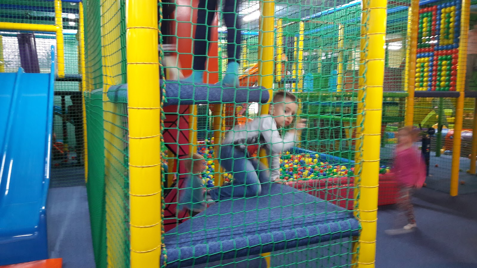 Photo of Jungle playroom for children